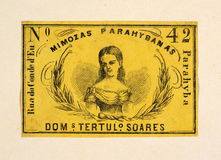 vizualizar o documento on line